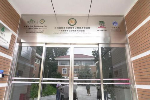 科技賦能高山石斛,植物醫(yī)生開啟護(hù)膚新篇