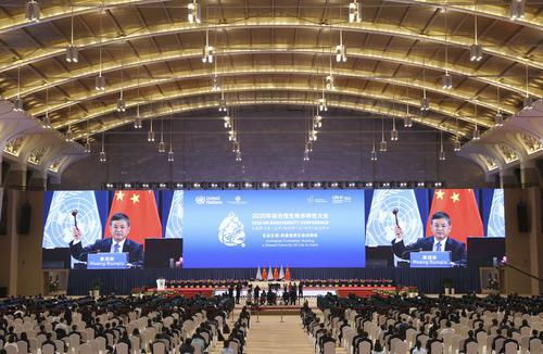 國際環(huán)保組織積極評價cop15首批成果