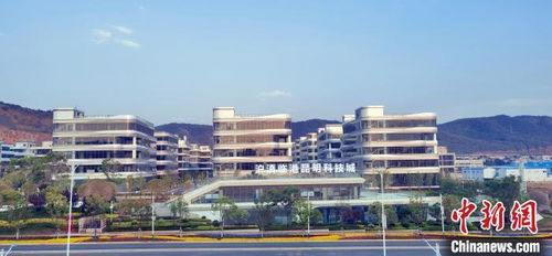 滬滇攜手打造承接產業轉移 優選地 助企業開拓東南亞市場